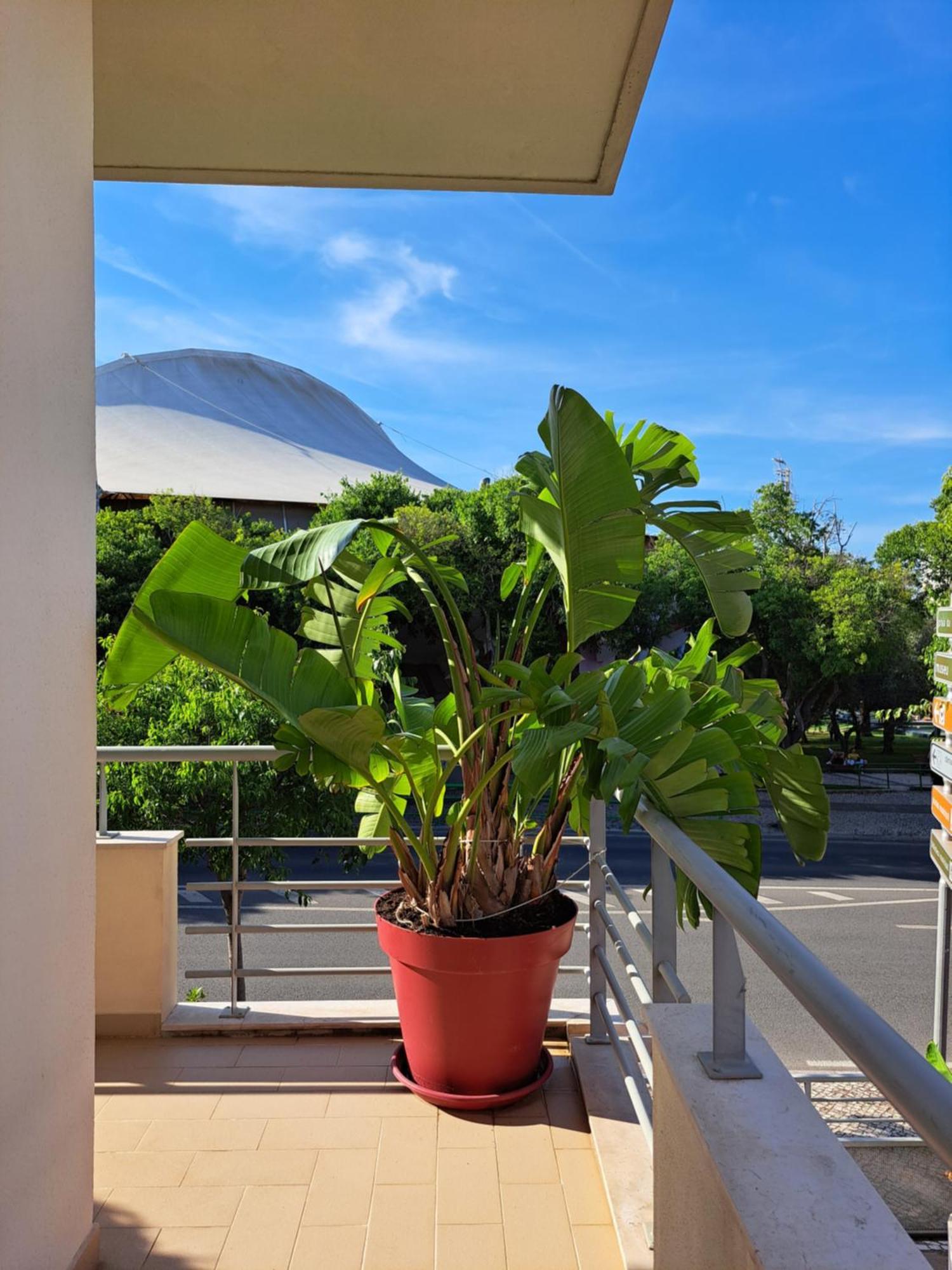 Villa Prana Guest House Portimão Extérieur photo